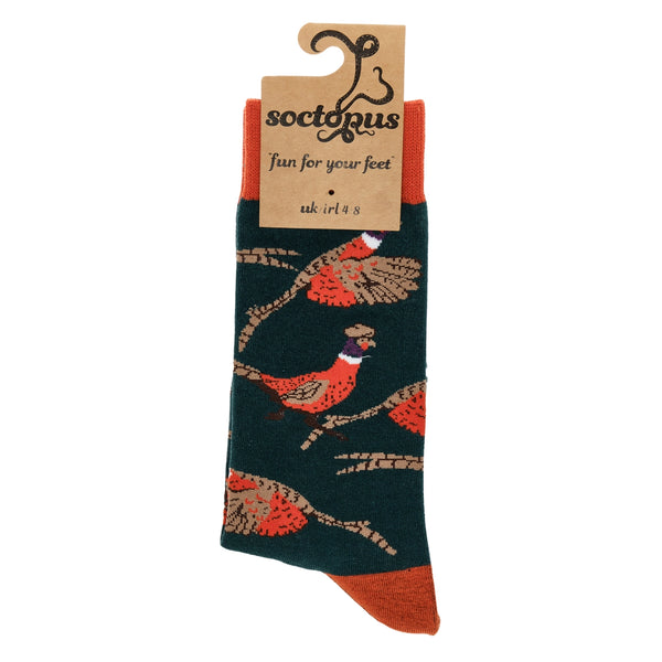 Sock with pheasant design on a white background