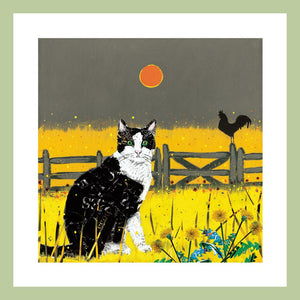 black and white farmyard cat illustration with a fence and cockrel in the background with an orange sunrise