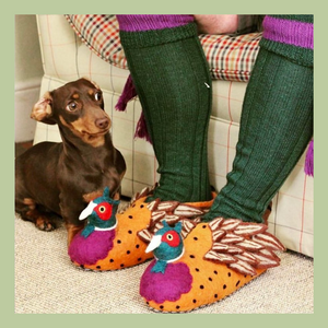 pheasant felted slippers on the feet of a male model sitting next to a sausage dog