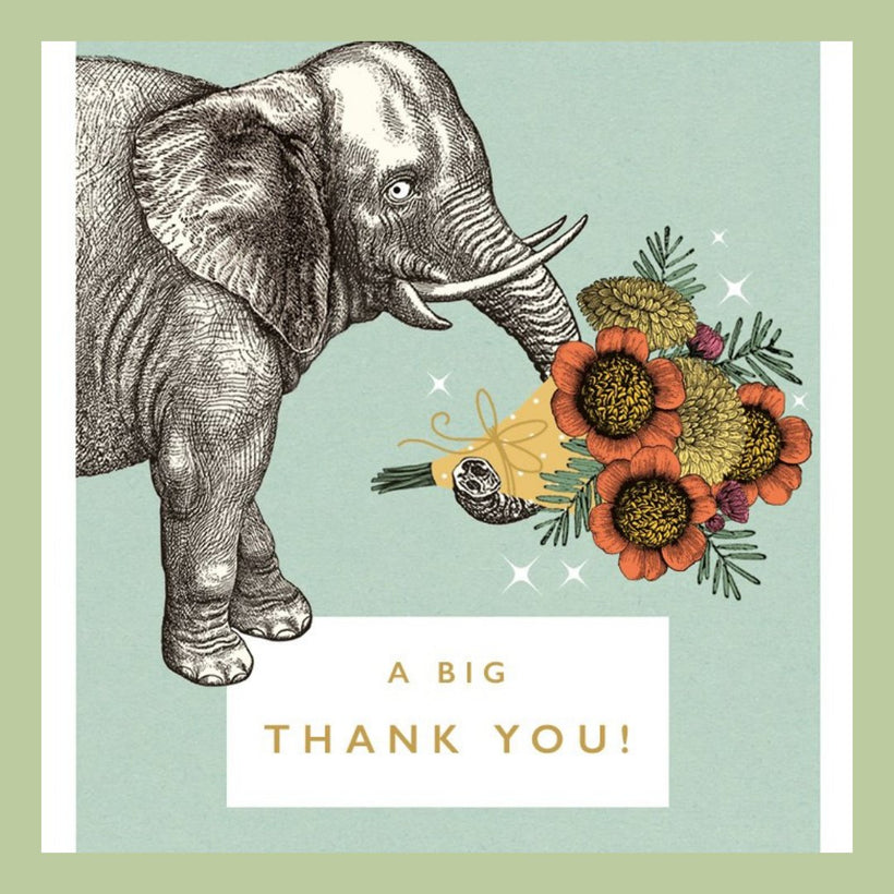 Thank You Cards
