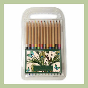 a packet of colouring pencils with butterfly and peacock feather packaging on a white background