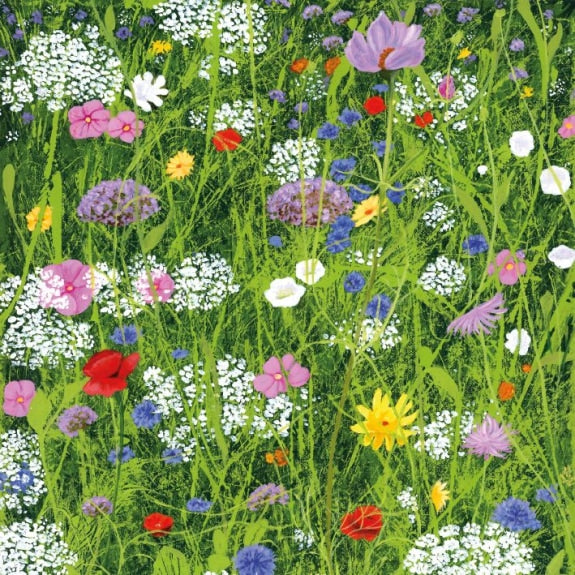 Wild Garden Greetings Card