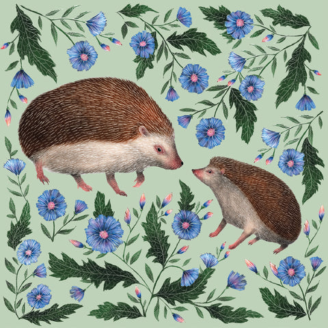 Hedgehogs Greetings Card