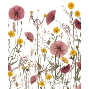 Wildflower Hare Notecards 8 Cards