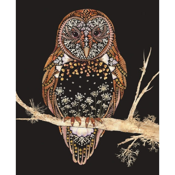 Barn Owl Greetings Card