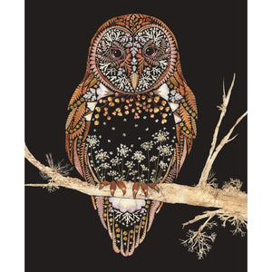 Barn Owl Greetings Card