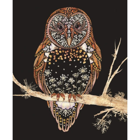 Barn Owl Greetings Card