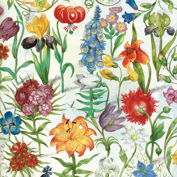 Floral Manuscript Greetings Card