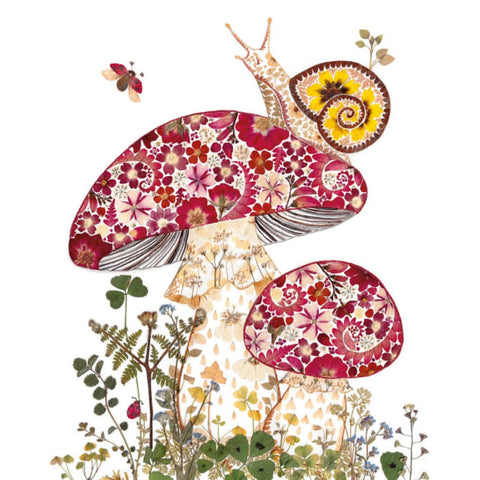 Snail and Toadstools Greetings Card