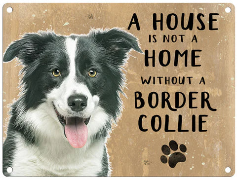 A House is not a Home Border Collie Magnet