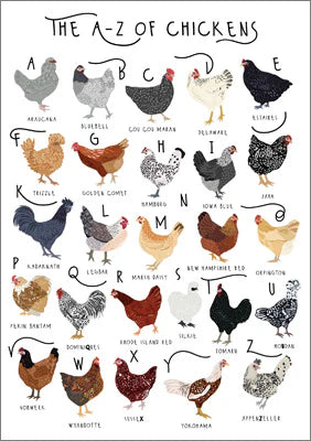 A-Z of Chickens Greetings Card