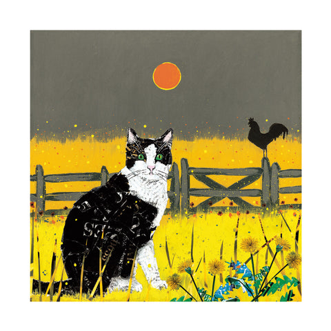 Farm Cat and Dandelions Greetings Card