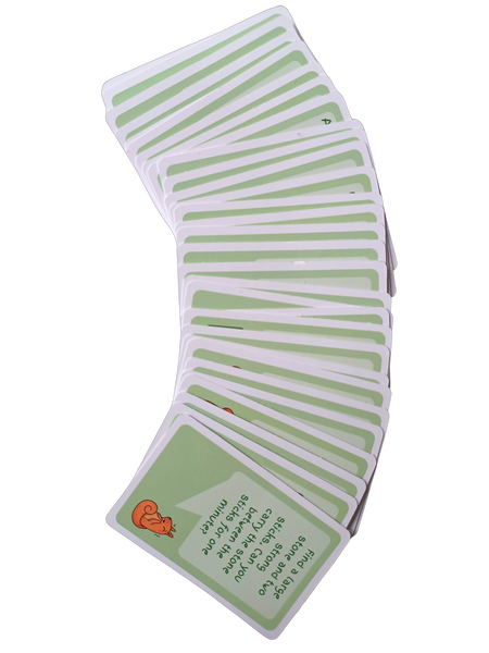 Nature Challenge Cards