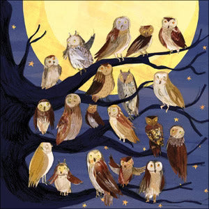 Moonlight Owls Greetings Card