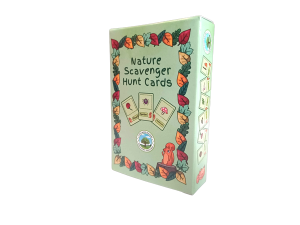 Nature Scavenger Cards