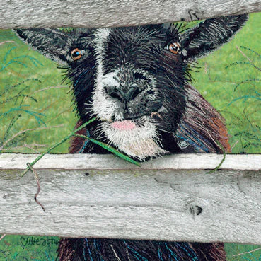 Happy Goat Greetings Card