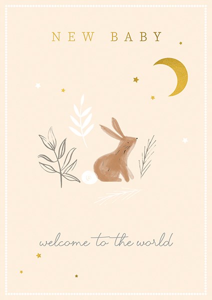 New Baby Greetings Card