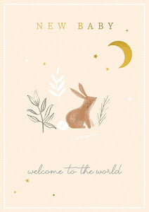New Baby Greetings Card