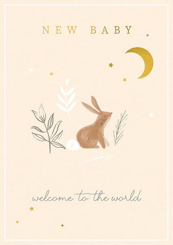 New Baby Greetings Card