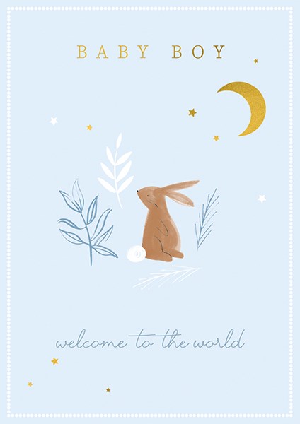 Baby Boy Welcome To The World Greetings Card