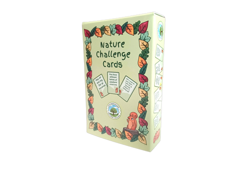Nature Challenge Cards