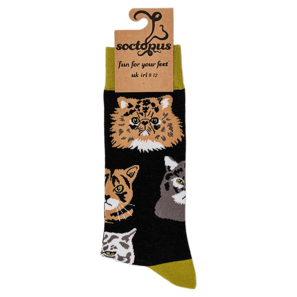 Grumpy Cats Socks
