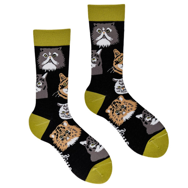 Grumpy Cats Socks
