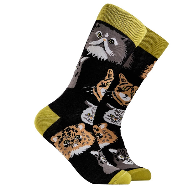 Grumpy Cats Socks