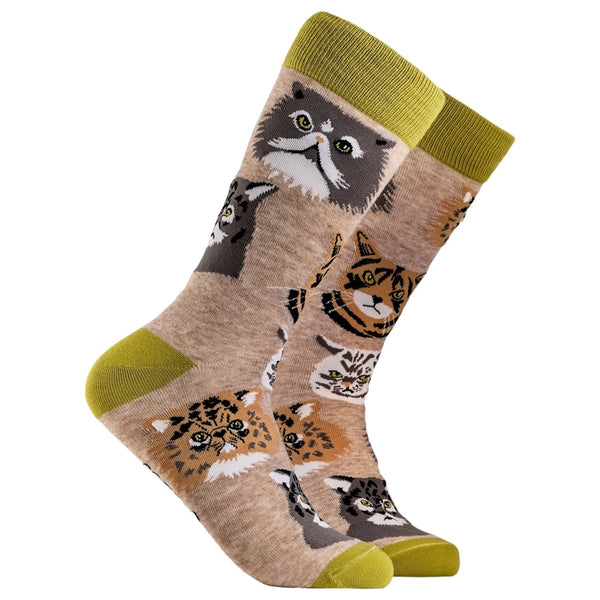Grumpy Cats Socks