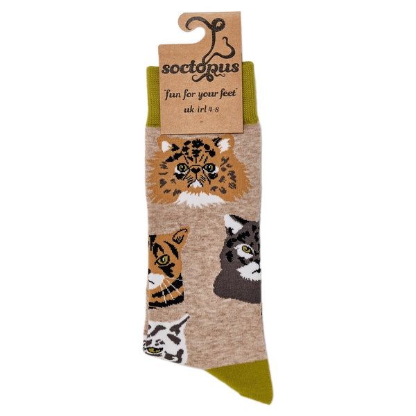 Grumpy Cats Socks
