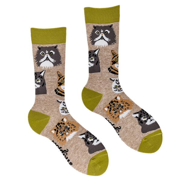 Grumpy Cats Socks
