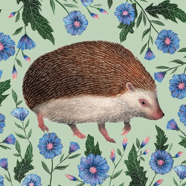 Hedgehog Mini Notecard Wallet - 8 Cards