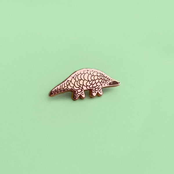 Copper-colored armadillo-shaped pin on a light green background