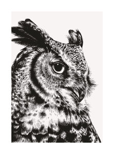 Great Horned Owl Greetings Card