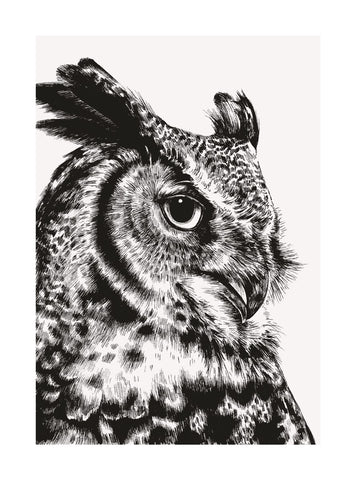 Great Horned Owl Greetings Card