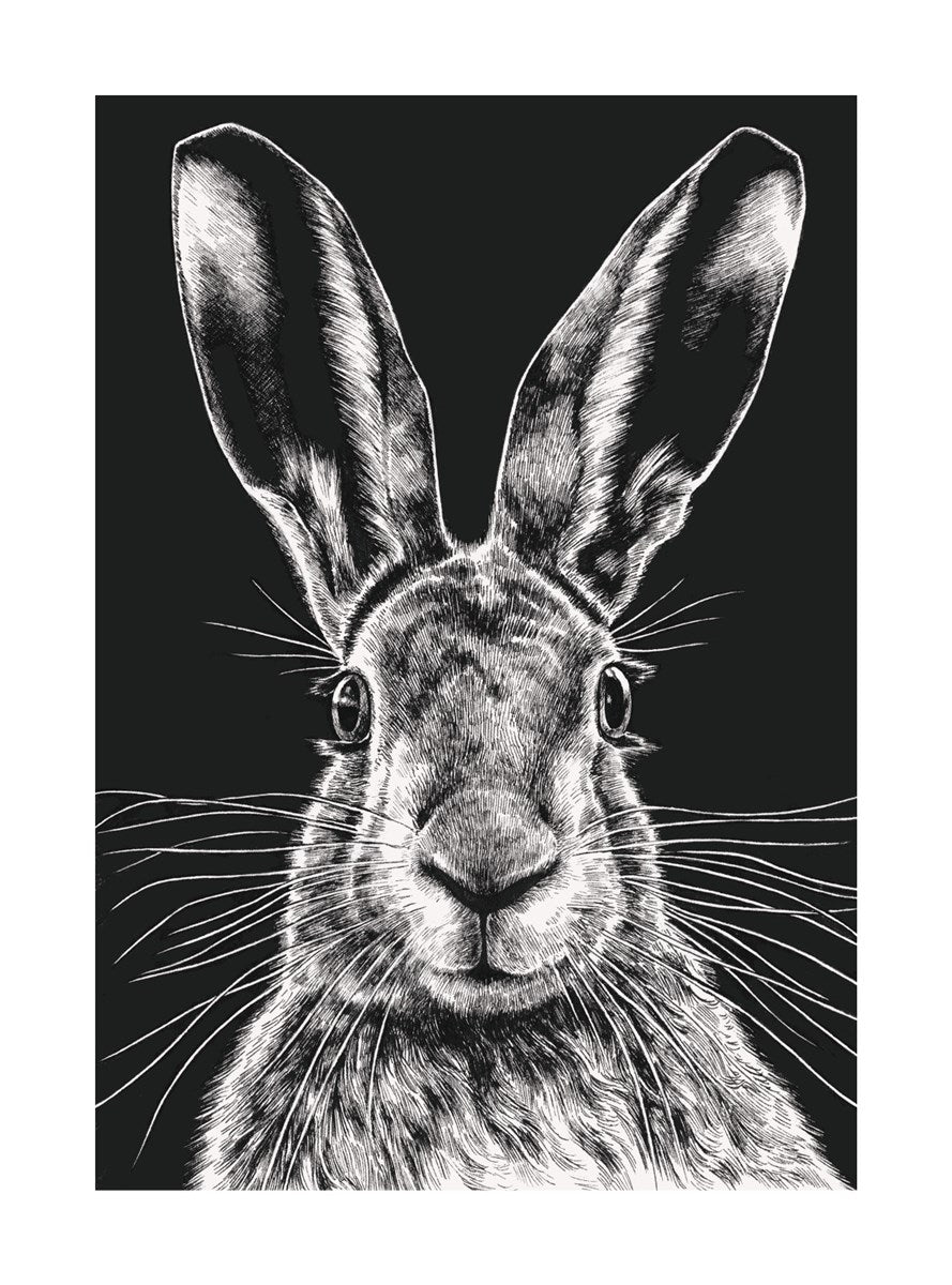 Wild Hare Greetings Card