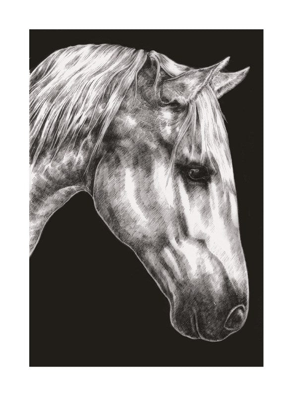 Horse Greetings Card