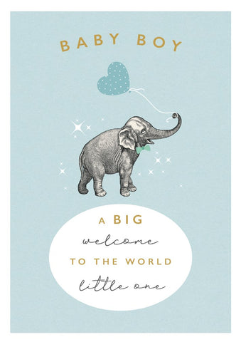 Baby Boy Welcome To The World Greetings Card