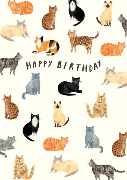 Happy Birthday Cats Greetings Card