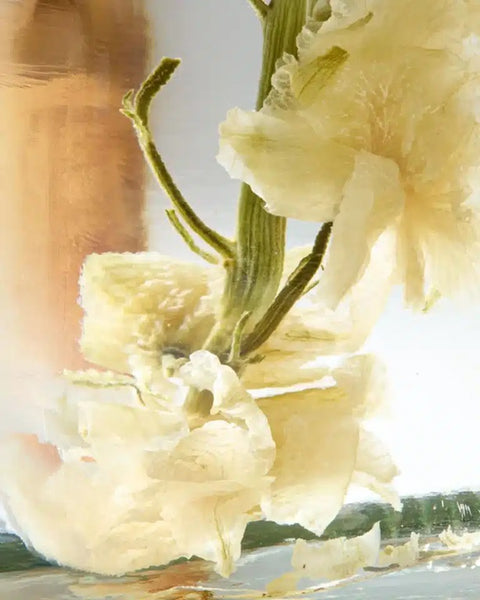 Wild Citrus Bath Essence 200ml