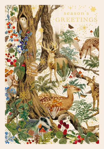 Seasons Greetings Christmas Greetings Card