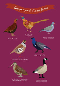 Great British Game Birds Greetings Card