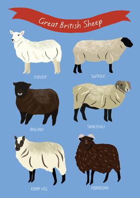 Great British Sheep Greetings Card