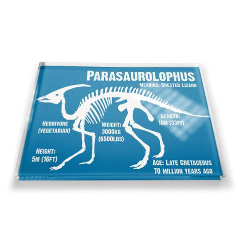 Parasaurolophus Dinosaur Fridge Magnet