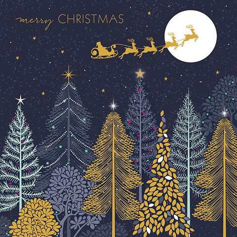 Sleigh Over Forest Luxury Christmas Cards Box of 8