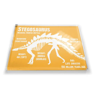 Stegosaurus Dinosaur Fridge Magnet