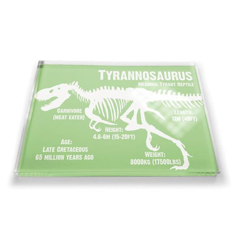 Tyrannosaurus Dinosaur Fridge Magnet