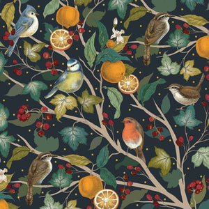 Oranges and Robins Luxury Christmas Cards Box of 8